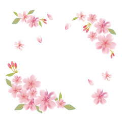 Cherry blossom flowers background frame illustration
