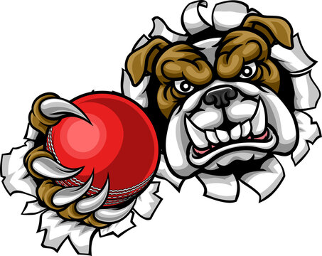 Bulldog Cricket Sports Mascot