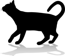 Silhouette Cat Pet Animal
