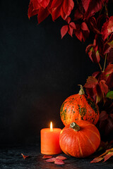 Naklejka na ściany i meble Halloween frame with pumpkins and burning candle on black background. Mockup