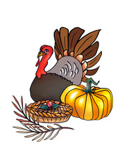 Thanksgiving holiday turkey pumpkin digital artwork illustration