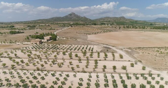Vista a&eacute;rea de Cultivo de &aacute;rboles junto a desierto con monta&ntilde;as a lo lejos