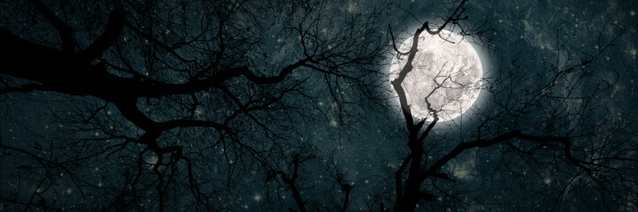night sky in the forest with stars in heaven on halloween