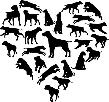 Labrador Retriever Dog Heart Silhouette Concept