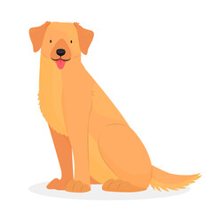 A Labrador or golden retriever with his tongue hanging out is sitting. The character is a dog isolated on a white background. Vector animal illustration.