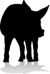Pig Silhouette Farm Animal