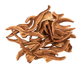 Reishi or lingzhi mushroom isolated on white background.