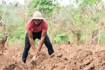 african farmer working in a farm