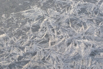 Fototapeta na wymiar Ice crystals in a frozen puddle. Wallpaper with ice crystals texture.