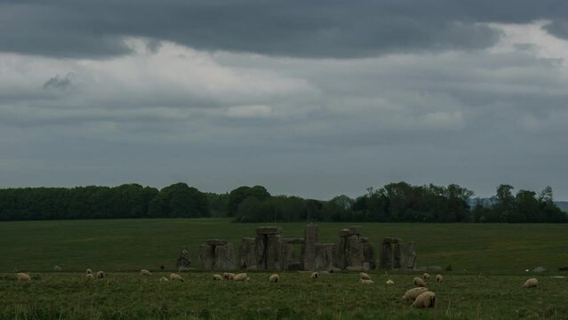 Time lapse of moving sheeps in front of prehistoric monolith circle Stonehenge on a cloudy summer day, England, United Kingdom