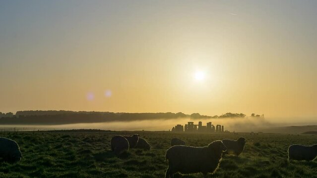Time lapse of moody foggy sunrise over rural landscape with Stonehenge and sheeps moving around, England, United Kingdom