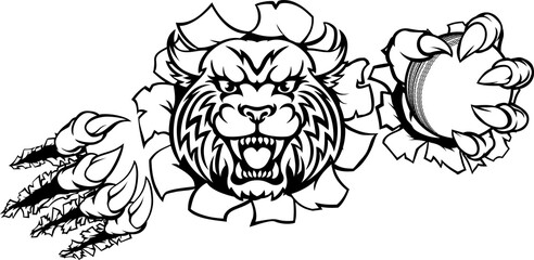 Wildcat Holding Cricket Ball Breaking Background