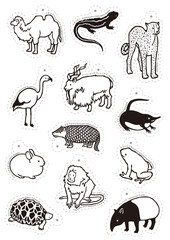 絶滅危惧種 / Endangered species