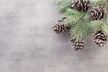 Christmas branches. Christmas greeting card. Symbol xmas.