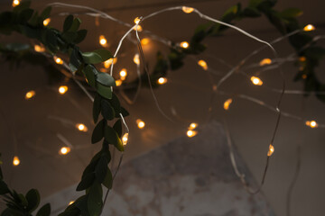 Beautiful small warm light garland with branch for new year, wedding. Cozy and cute background. Soft focus