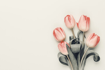 Pink tulip flowers on pastel background.