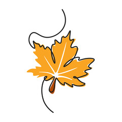 Continuous line illustration depicting a maple leaf. Botanical natural ecological concept