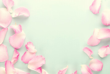 Obraz premium Rose flowers petals on pastel background. Valentines day background. Flat lay, top view, copy space.