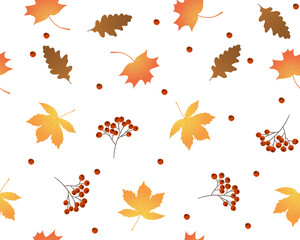 Seamless pattern of maple, oak, chestnut leaves and rowan branches