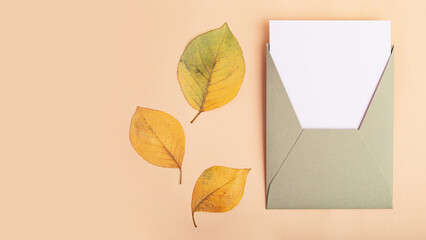 Photography from above of craft envelope with blank card,dry leafs near it.Autumn concept,large banner.
