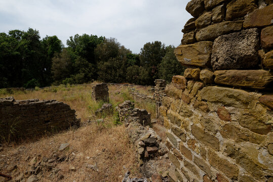 Quirico Bilder Durchsuchen 7,182 Archivfotos, und