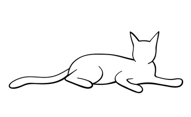 Cat outline illustration with black thin line. PNG with transparent background.