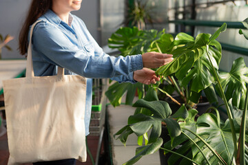 Anonymous woman with eco friendly cotton bag choosing monstera at greenhouse. © Bidzilya