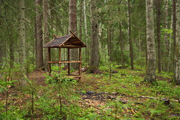 Imitation of the Sami storehouse in the Karelian forest.