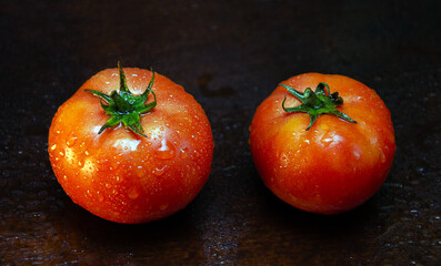 tomatoes with water drops on a dark wooden background