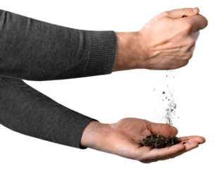 Soil in hands for check the quality. Soil before seed plant. Future agriculture concept.