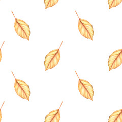 Fototapeta premium Autumn leaf seamless pattern. Watercolor vintage illustration. Isolated on a white background.