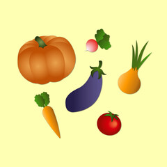 Vector illustration of autumn vegetables.Pumpkin, carrot, radish, eggplant, onion, tomato