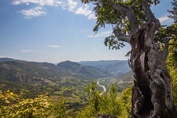 View from a high mountain to a valley between mountains with a river and a village on a summer day. View over the hills, mountains, valley, river and village. Carpathians. Ukraine