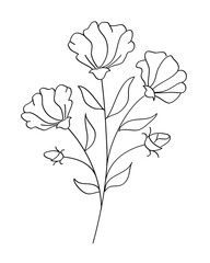 Outline flower with black thin line, floral design element, decorative line art illustration.