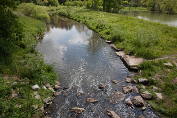Stream flowing through grass