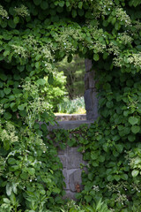 Doorway in the green