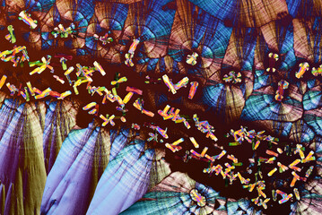 Colorful micro crystals in polarized light. Photo through a microscope. - 531048125