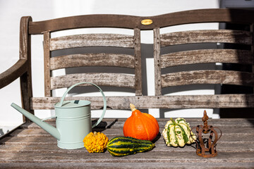 Colorful pumpkins with a pastel watering can and rusty crown on a retro bench on a sunny day in...