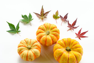pumpkin and autumn leaves