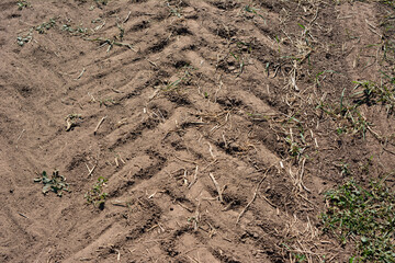 tire track from tractor on dirty road isolated, close-up