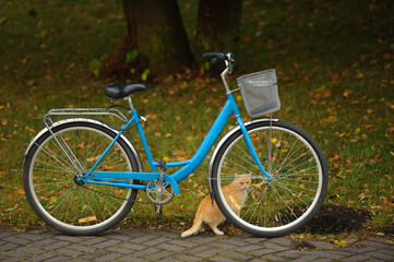 Fototapeta na wymiar Red cat sits near a bicycle on an autumn background