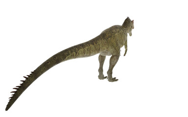 Dinosaur allosaurus on white background