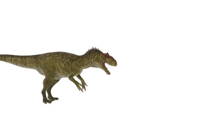 Dinosaur allosaurus on white background