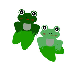 two frogs vector illustration