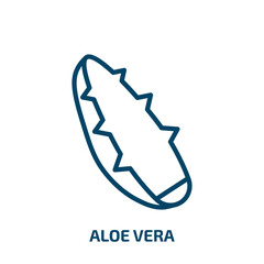 aloe vera icon from beauty collection. Thin linear aloe vera, vera, aloe outline icon isolated on white background. Line vector aloe vera sign, symbol for web and mobile