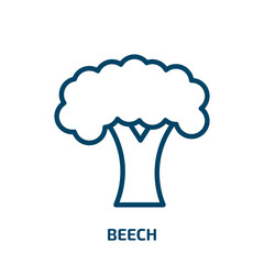 beech icon from nature collection. Thin linear beech, oak, birch outline icon isolated on white background. Line vector beech sign, symbol for web and mobile