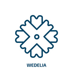 wedelia icon from nature collection. Thin linear wedelia, nature, beauty outline icon isolated on white background. Line vector wedelia sign, symbol for web and mobile
