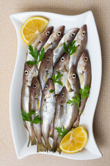 Fresh uncooked haddock fishes on in ceramic dish on table, raw whiting fish concept