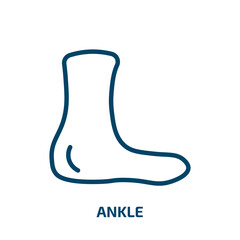ankle icon from sports collection. Thin linear ankle, leg, human outline icon isolated on white background. Line vector ankle sign, symbol for web and mobile