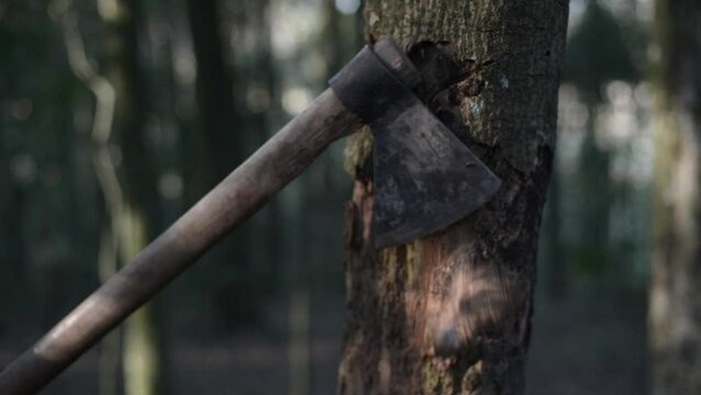 An axe cutting down a tree